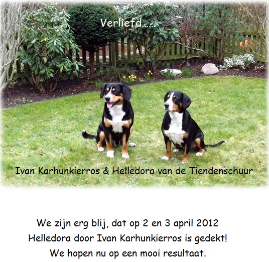 verliefd